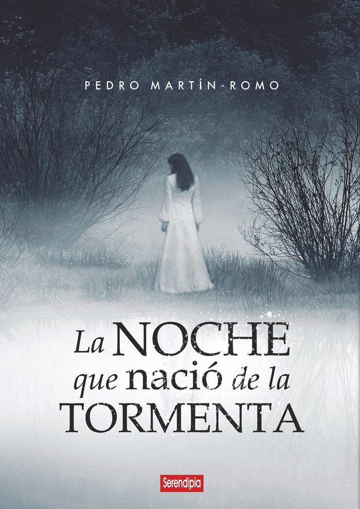 LA NOCHE QUE NACIÓ DE LA TORMENTA, de MARTÍN ROMO, PEDRO | portada del libro