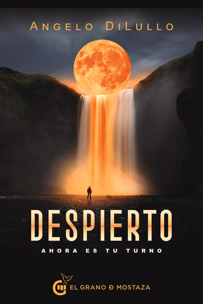DESPIERTO, de DILULLO, ANGELO | portada del libro