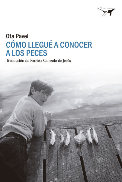COMO LLEGUE A CONOCER A LOS PECES, de PAVEL, OTA | portada del libro