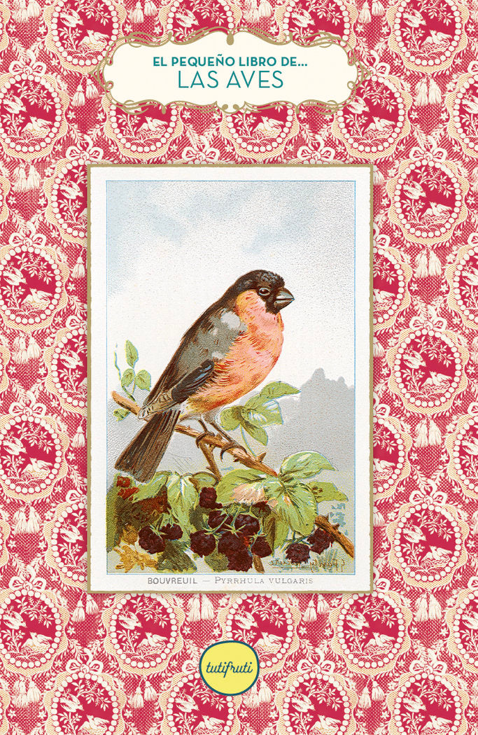 PEQUEÑO LIBRO DE LAS AVES,EL, de JANKELIOWITCH,ANNE | portada del libro