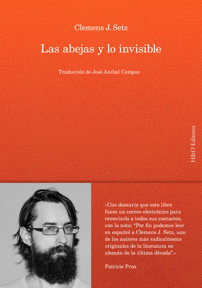 Las abejas y lo invisible, de J. SETZ | portada del libro