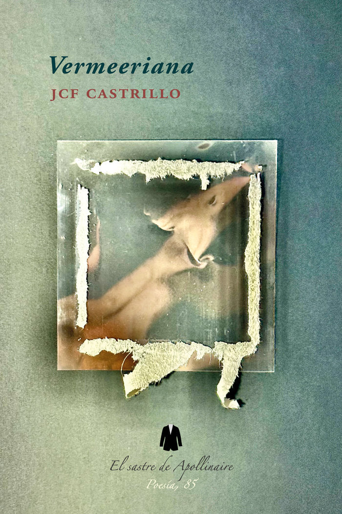 Vermeeriana, de FERNÁNDEZ CASTRILLO, JUAN CARLOS | portada del libro