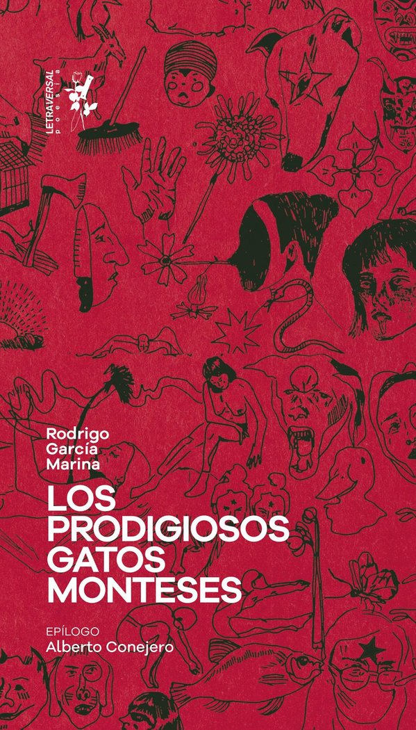 Los prodigiosos gatos monteses, de GARCIA MARINA, RODRIGO | portada del libro