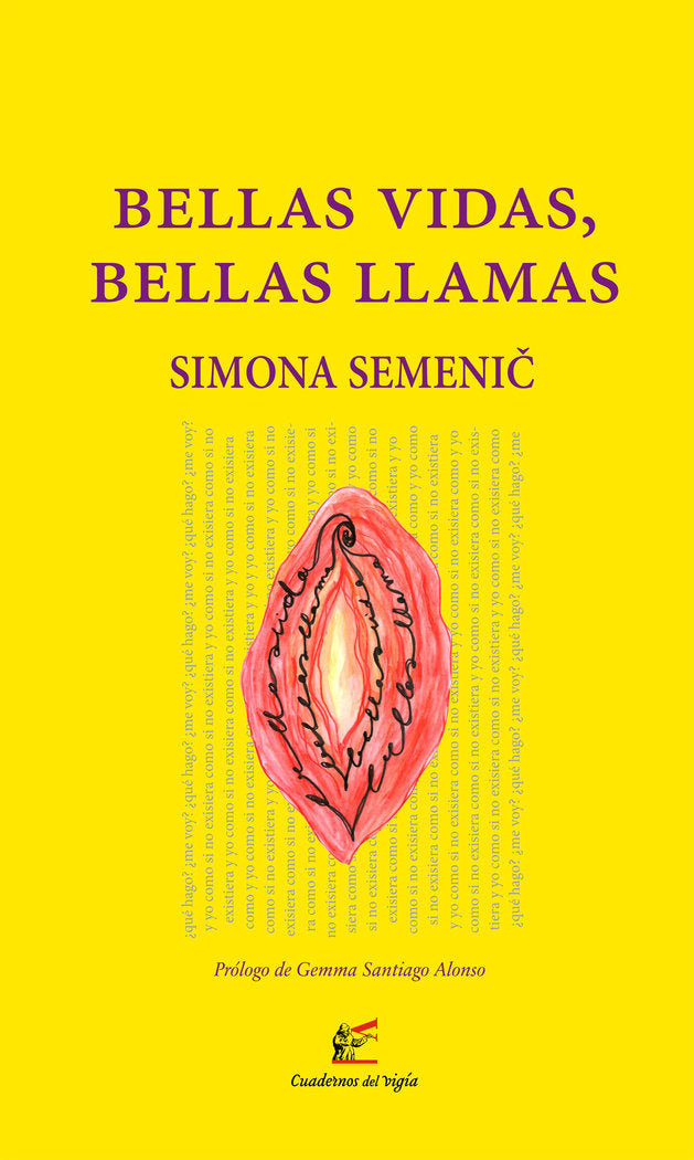 Bellas vidas, bellas llamas, de SEMENIC,SIMONA | portada del libro