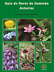 GUIA DE FLORES DE SOMIEDO ASTURIAS, de NAVAS SANCHEZ, EMILIANO | portada del libro