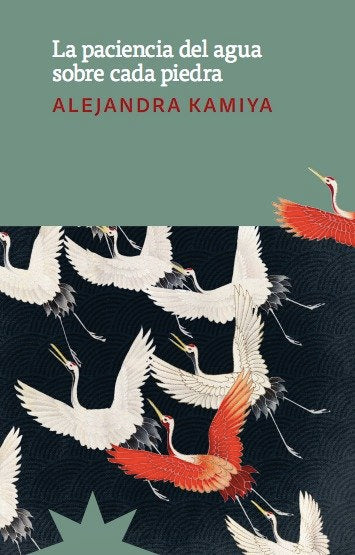 LA PACIENCIA DEL AGUA SOBRE CADA PIEDRA, de KAMIYA, ALEJANDRA | portada del libro