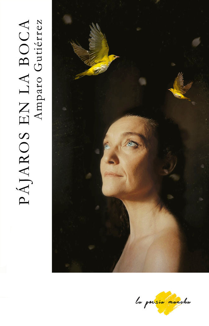 Pájaros en la cabeza, de Gutiérrez, Amparo | portada del libro