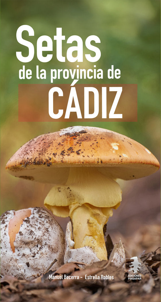 GUIA CAMPO SETAS PROVINCIA DE CADIZ, de Becerra Parra | portada del libro