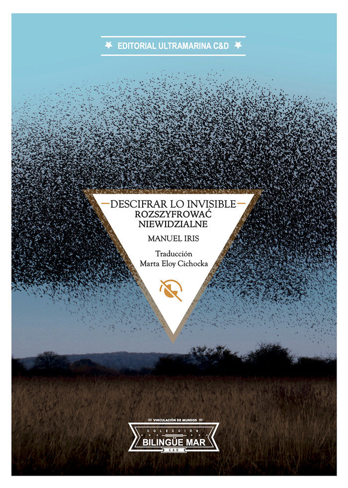 Descifrar lo invisible, de Iris, Manuel | portada del libro