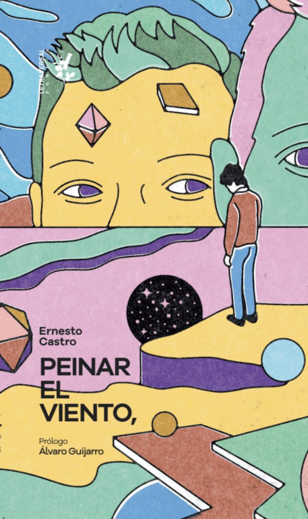 peinar el viento,, de CASTRO, ERNESTO | portada del libro