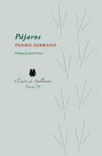 Pájaros, de PEDRO SERRANO | portada del libro