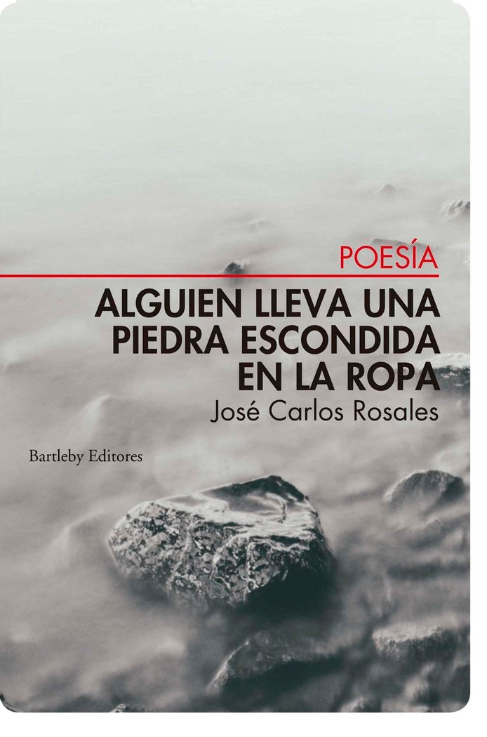 ALGUIEN LLEVA UNA PIEDRA ESCONDIDA EN LA ROPA, de ROSALES, JOSE CARLOS | portada del libro