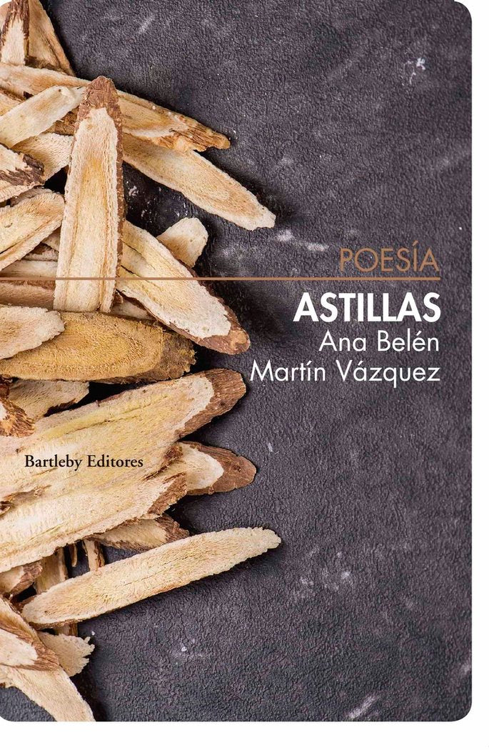Astillas, de MARTIN VAZQUEZ,ANA BELEN | portada del libro