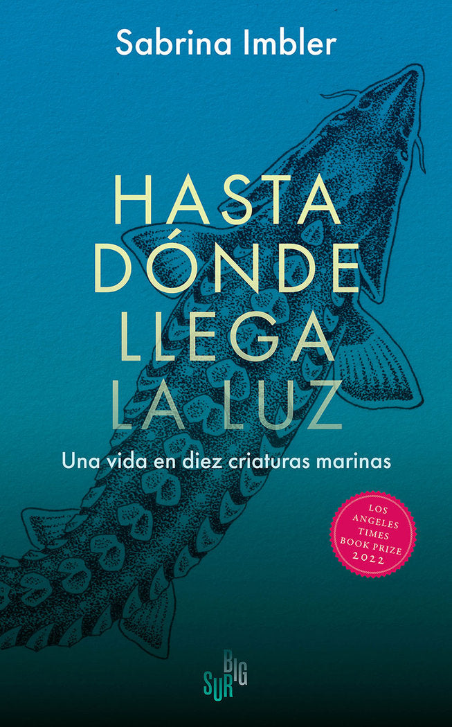 HASTA DONDE LLEGA LA LUZ, de IMBLER, SABRINA | portada del libro