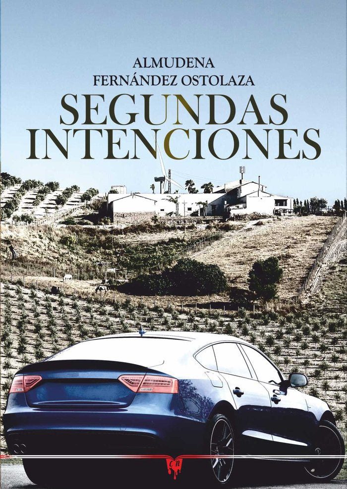 Segundas intenciones, de FERNANDEZ, ALMUDENA | portada del libro