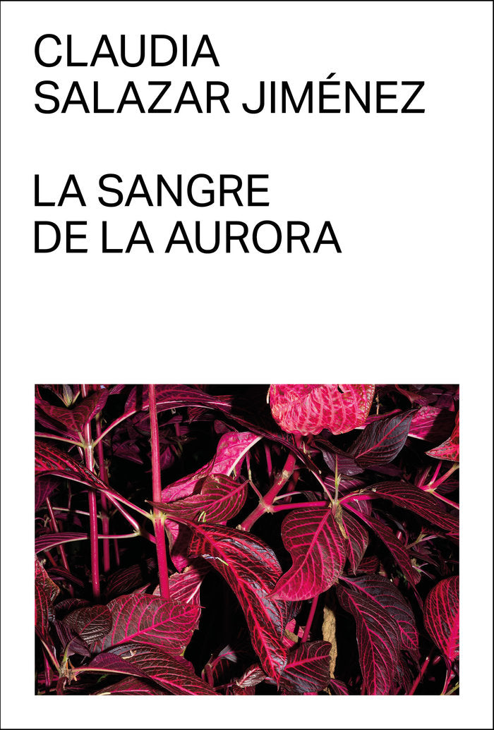 la sangre de la aurora, de SALAZAR JIMENEZ, CLAUDIA | portada del libro