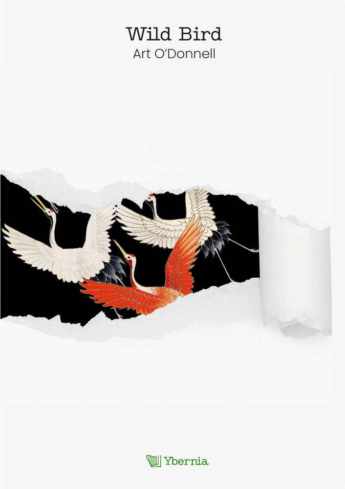 Wild bird, de O'Donnell, Art | portada del libro