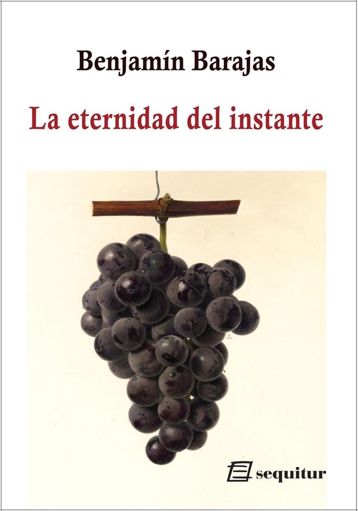 La eternidad del instante, de BARAJAS,BENJAMIN | portada del libro