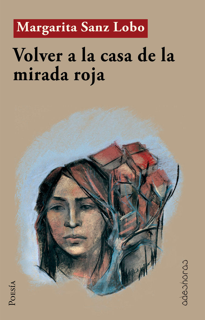 Volver a la casa de la mirada roja, de Sanz Lobo, Margarita | portada del libro