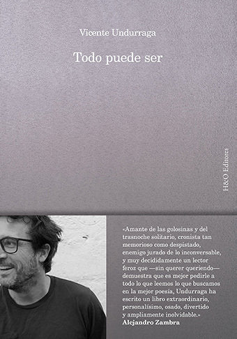 Todo puede ser, de VICENTE UNDURRAGA | portada del libro