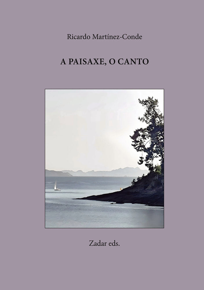 A paisaxe, o canto, de MARTINEZ-CONDE | portada del libro