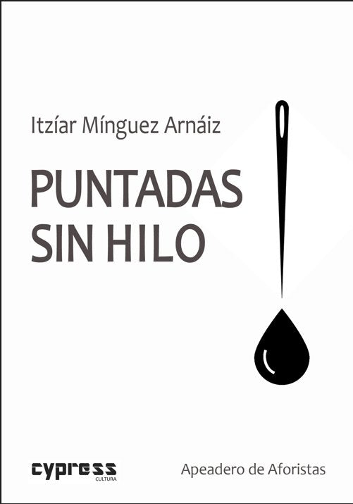 PUNTADAS SIN HILO, de MINGUEZ ARNAIZ, ITZIAR | portada del libro