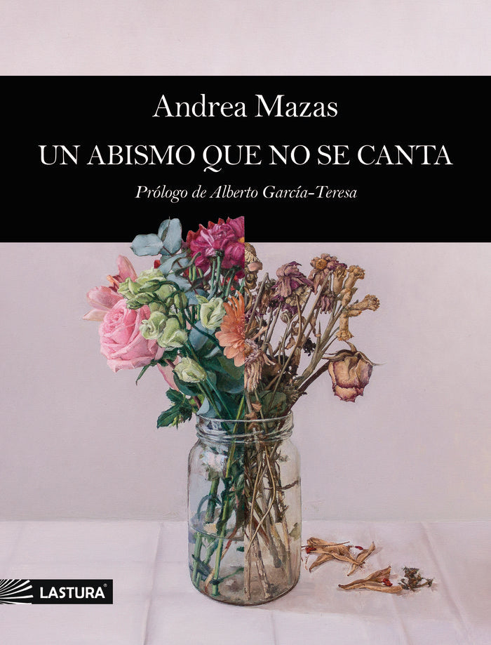 Un abismo que no se canta, de Mazas, Andrea | portada del libro