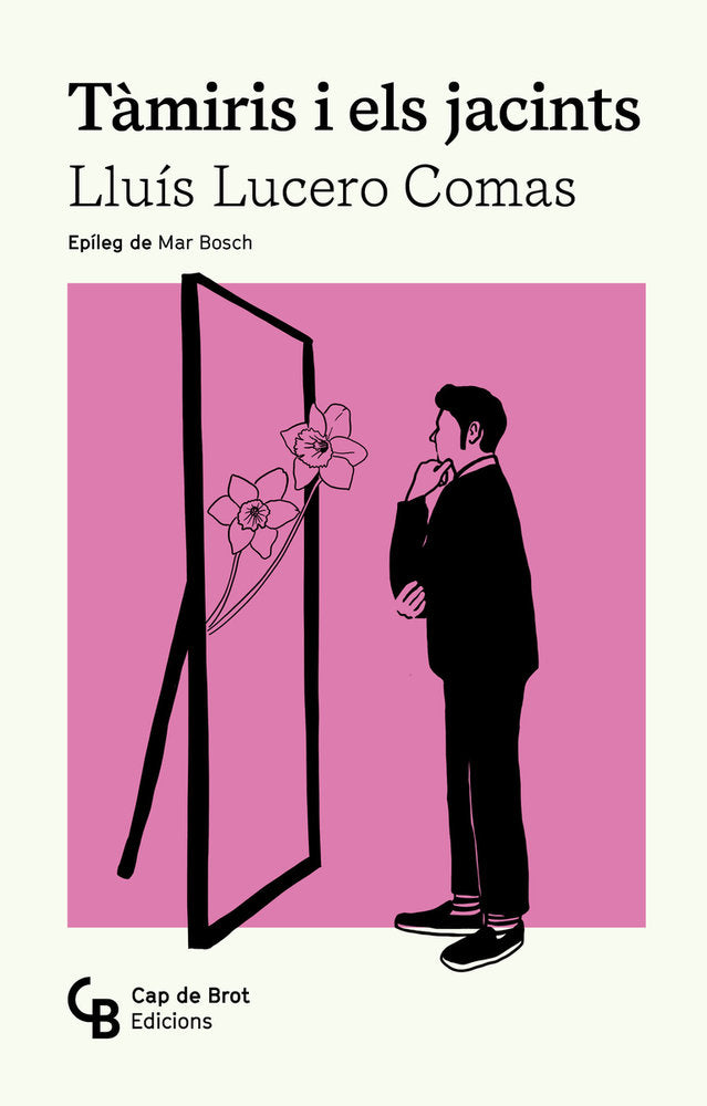 TAMIRIS I ELS JACINTS - CAT, de LUCERO COMAS | portada del libro