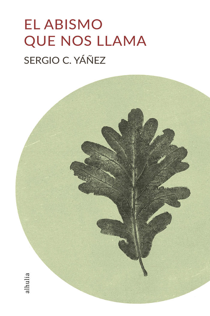 El abismo que nos llama, de Yáñez, Sergio C. | portada del libro