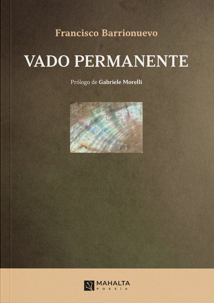 Vado permanente, de Barrionuevo, Francisco | portada del libro
