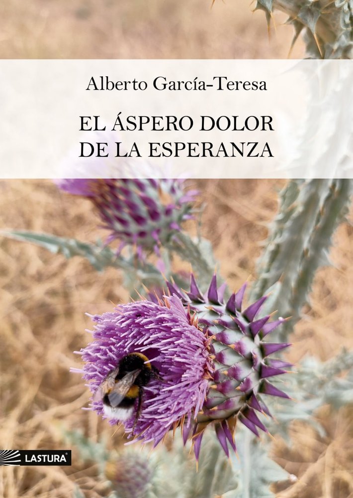 EL ÁSPERO DOLOR DE LA ESPERANZA, de García-Teresa, Alberto | portada del libro