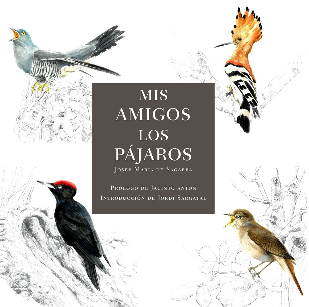 MIS AMIGOS LOS PAJAROS, de DE SAGARRA, JOSEP MARIA | portada del libro