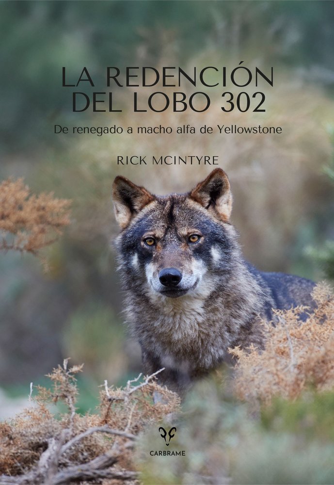 LA REDENCION DEL LOBO 302, de MCINTYRE, RICK | portada del libro
