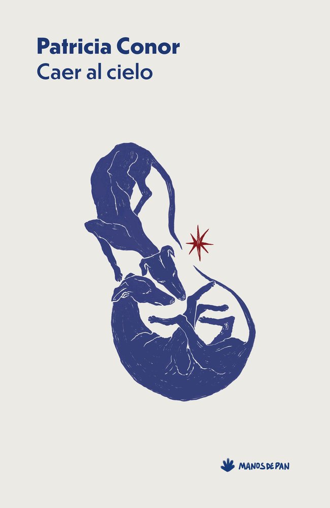 Caer al cielo, de CONOR | portada del libro