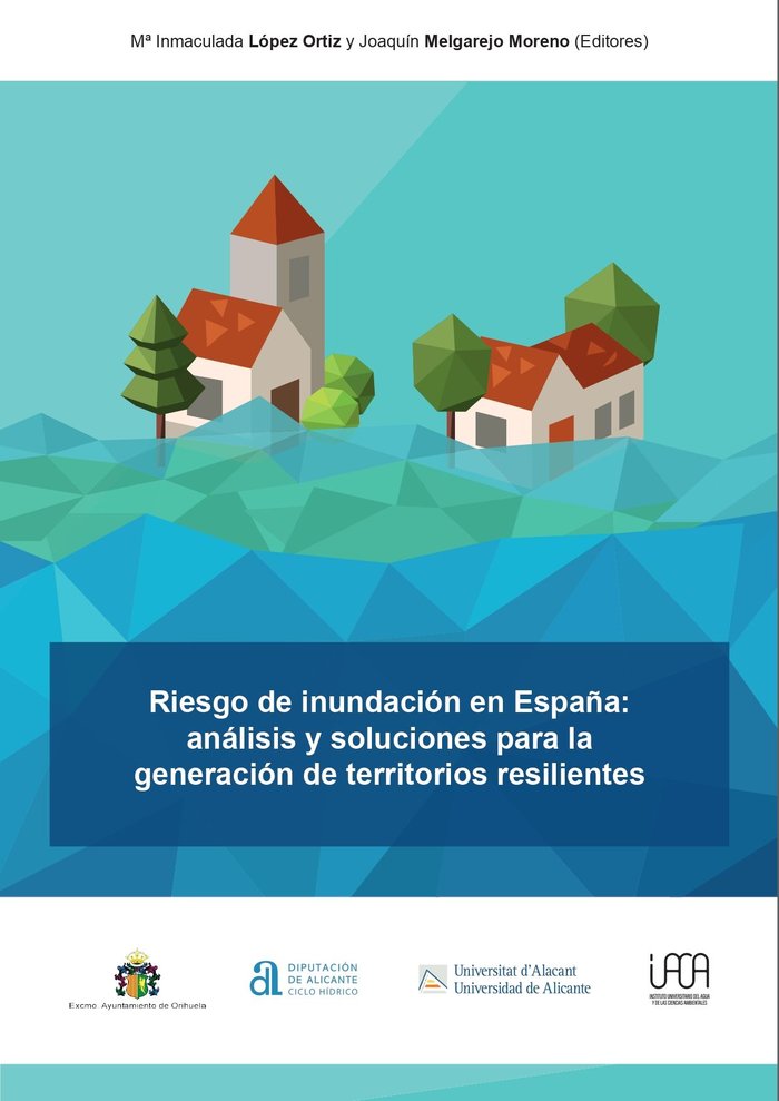 RIESGO DE INUNDACION EN ESPAÑA ANALISIS Y SOLUCIONES PARA L | portada del libro