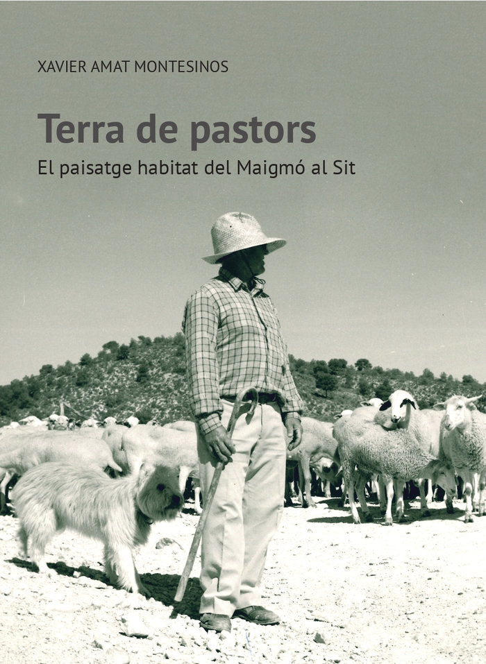 TERRA DE PASTORS, de AMAT MONTESINOS, XAVIER | portada del libro