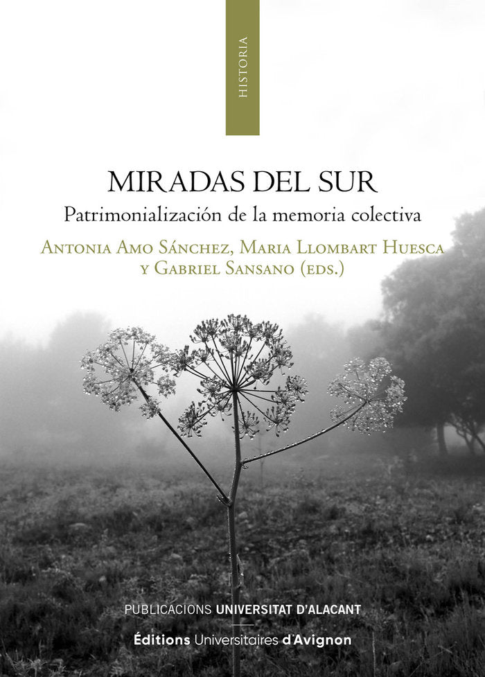 MIRADAS DEL SUR, de VV AA | portada del libro