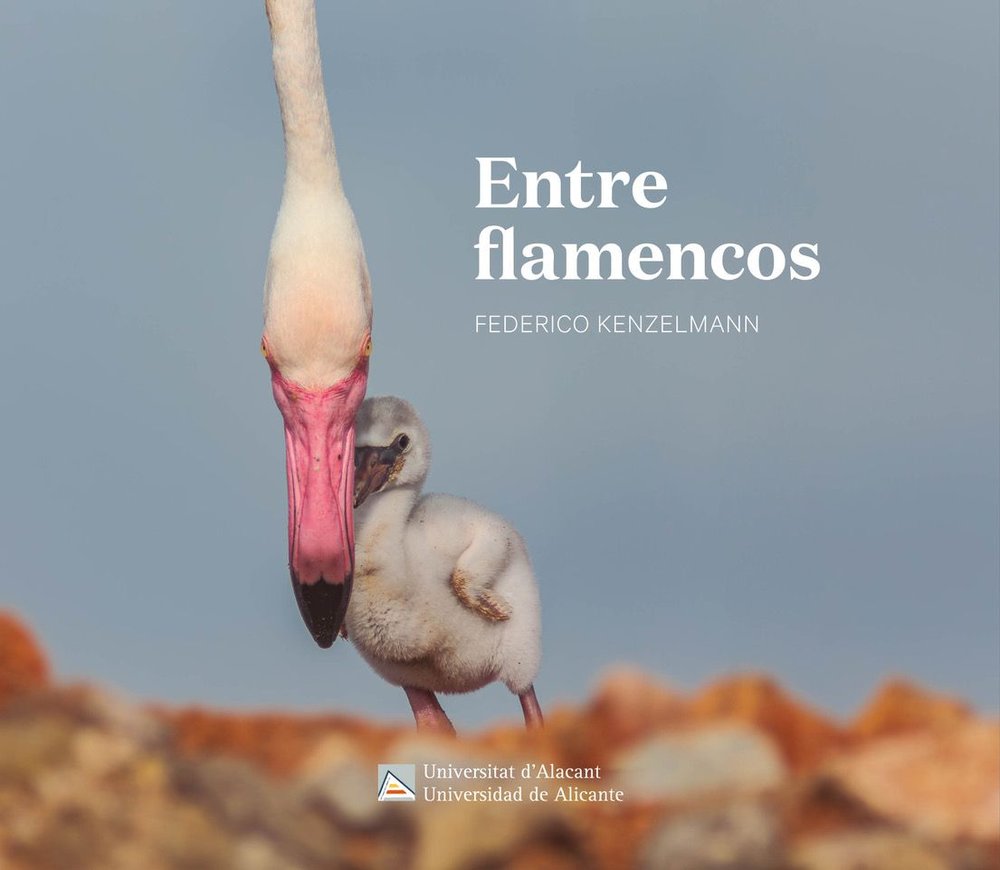 ENTRE FLAMENCOS, de FEDERICO KENZELMANN AREA | portada del libro