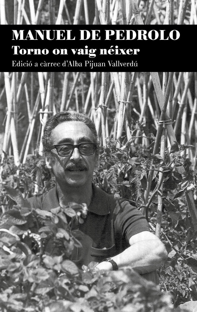 MANUEL DE PEDROLO TORNO VAIG NEIXER CATALA, de PIJUAN VALLVERDU, ALBA | portada del libro
