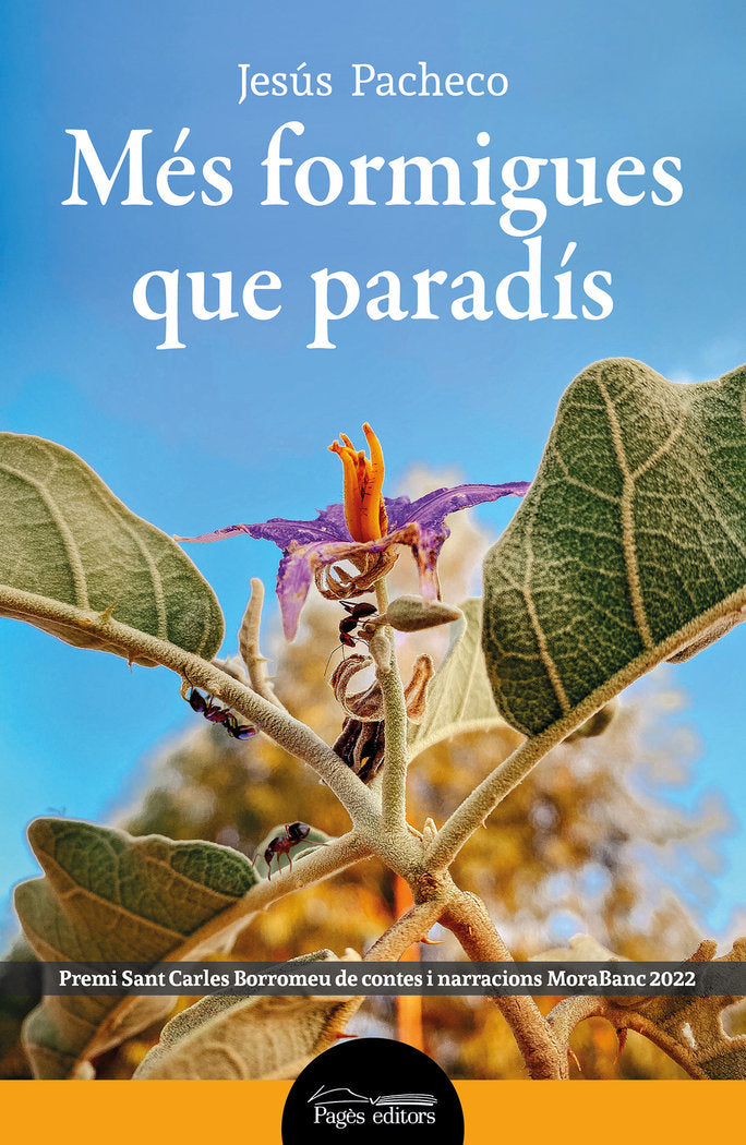 MES FORMIGUES QUE PARADIS, de PACHECO JULI·, JESUS | portada del libro
