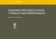 Esquemas procesales civiles y penales para profesionales. Tomo XLVII, de Dominguéz Oliveros, Inmaculada | portada del libro