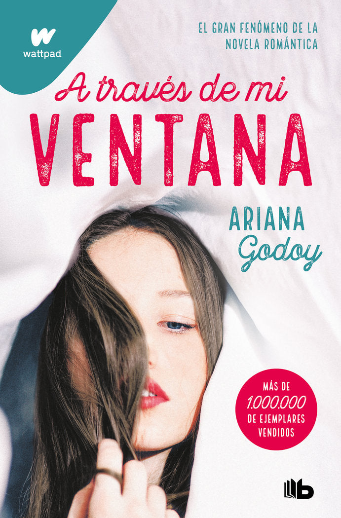 A TRAVES DE MI VENTANA, de GODOY, ARIANA | portada del libro