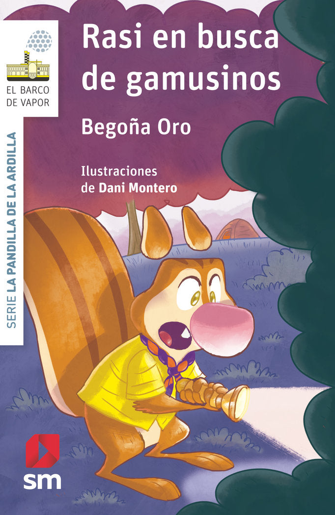Rasi en busca de gamusinos, de Oro Pradera, Begon~a | portada del libro