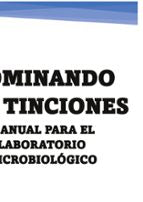 Dominando las Tinciones, de SONIA ORTEGA DURAN | portada del libro
