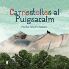 Carnestoltes al Puigsacalm, de MARIBEL ROMERO ASENSIO | portada del libro