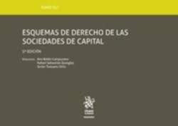 Tomo XLI Esquemas de Derecho de las Sociedades de Capital 5ª Edición 2019, de Campuzano Laguillo | portada del libro