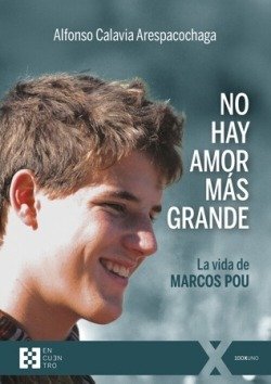 NO HAY AMOR MAS GRANDE, de ALFONSO CALAVIA ARESPACOCHAGA | portada del libro
