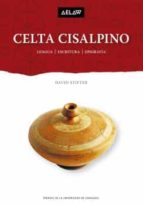 Cisalpine Celtic, de DAVID STIFTER | portada del libro
