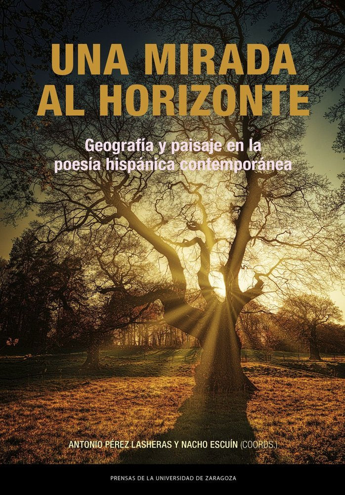 UNA MIRADA AL HORIZONTE. GEOGRAFIA Y PAISAJE EN LA POESIA HISPANICA CONTEMPORANE, de PEREZ LASHERAS, ANTONIO | portada del li