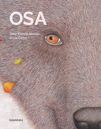 OSA, de ALONSO, JOSE RAMON | portada del libro